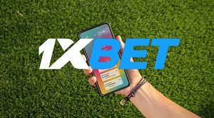 Обзор 1xBet за 2024 год: посмотрим, легальна ли 1xBet в декабре